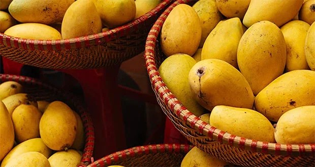 Largest Mango Producer