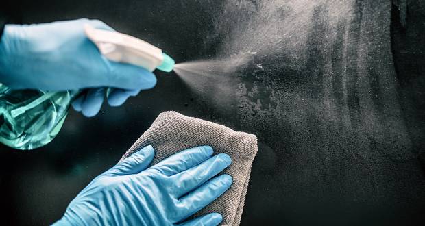 Bleach Bed Bug Solution