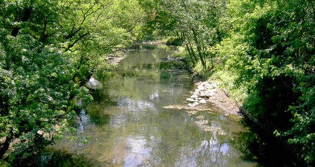 The Bronx: River's Borough