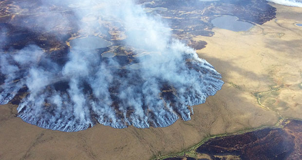Zombie Fires: Winter Menace