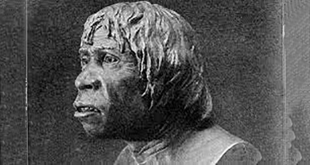Piltdown Man: Dawson's Evolutionary Hoax