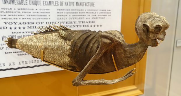 Feejee Mermaid: Barnum's Fishy Attraction