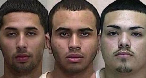 Burglars Snort Ashes Mistake