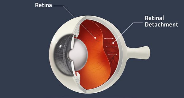 Retinal Recycling Process
