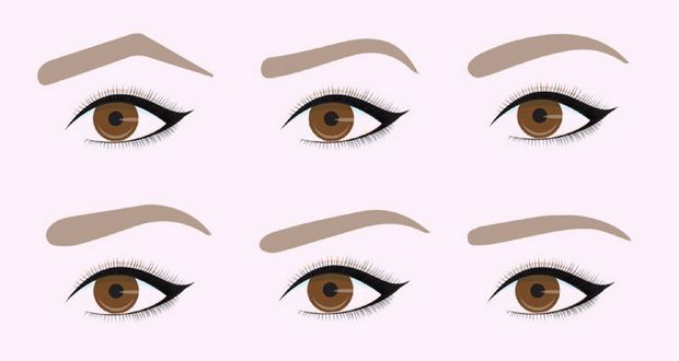 Eyebrows Crucial For Face Recognition