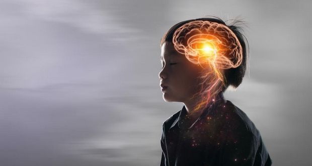 Reality as Brain’s Simulation