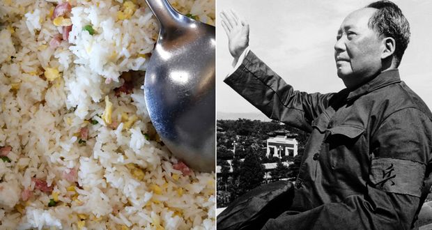 Egg Fried Rice Posts Protest Mao's Son