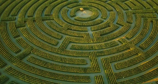Maze vs. Labyrinth Distinction