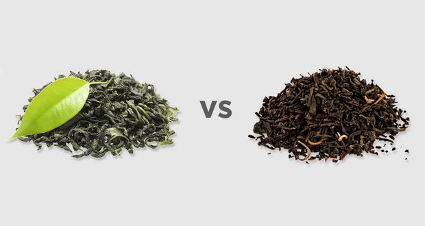 Black Tea vs. Green Tea