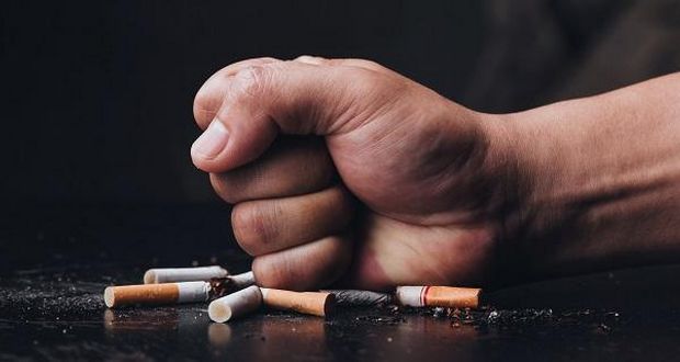 Japanese Smoking Paradox Explained