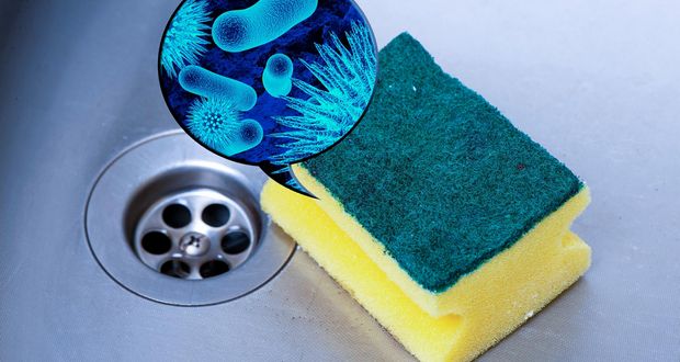 Sponge Sanitizing Myth Busted