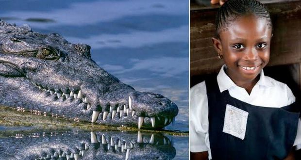 Rebecca Munkombwe Eye-Gouges Crocodile