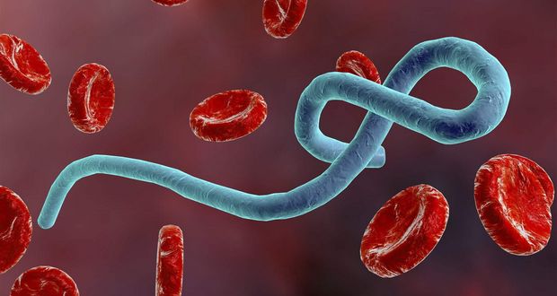 Varro's Invisible Germs Swamp Warning