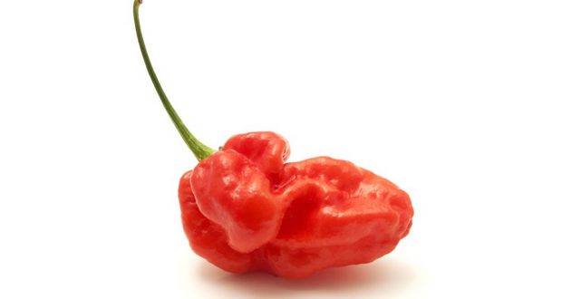 Ghost Pepper Contest Rips Esophagus
