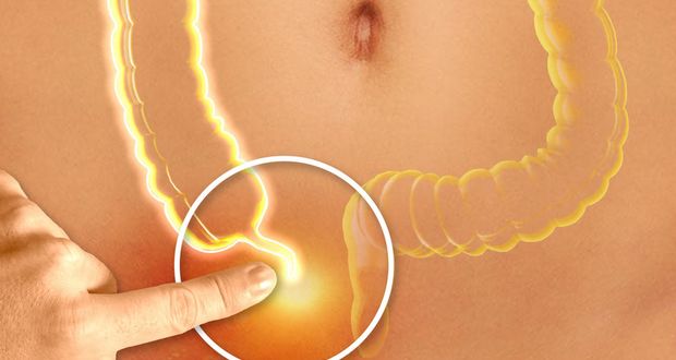 Evolution Keeps Reinventing The Appendix