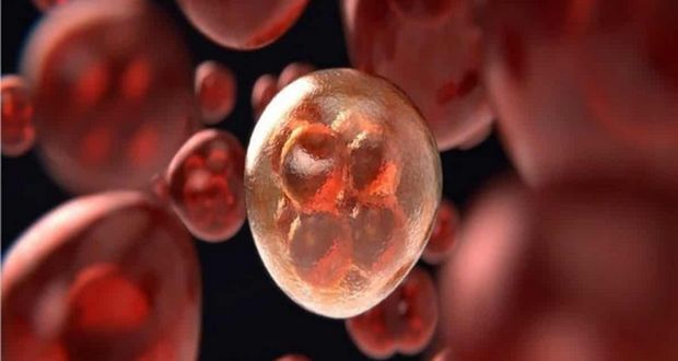 Non-O Blood Types Raise Risk