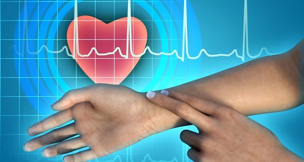 Lifespans Measured In Heartbeats