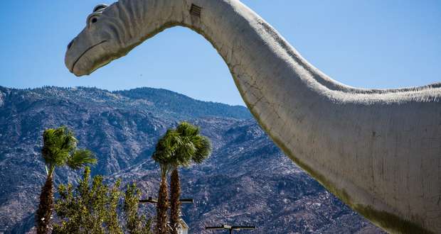 Brontosaurus Won Its Name Back