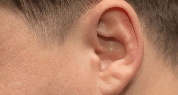 Humans Retain Ear Wiggle Muscles