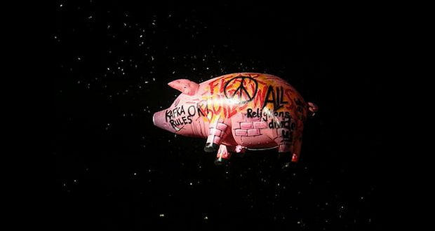 Pink Floyd Looped Animals Smoothly
