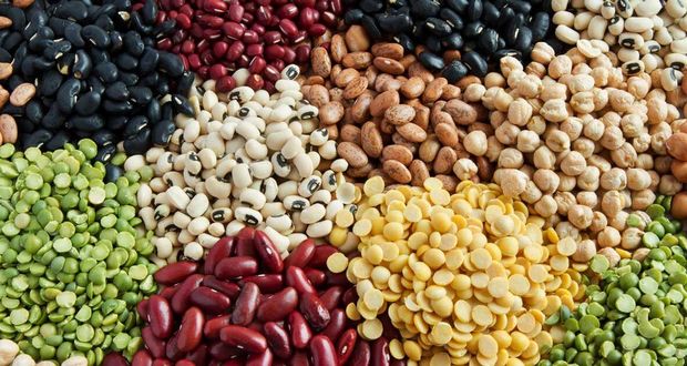 High-Fiber Diets Reduce Calorie Absorption
