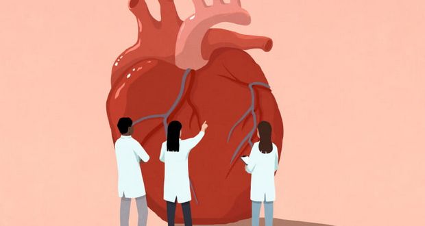 Cardiologists Report High Obesity Rates