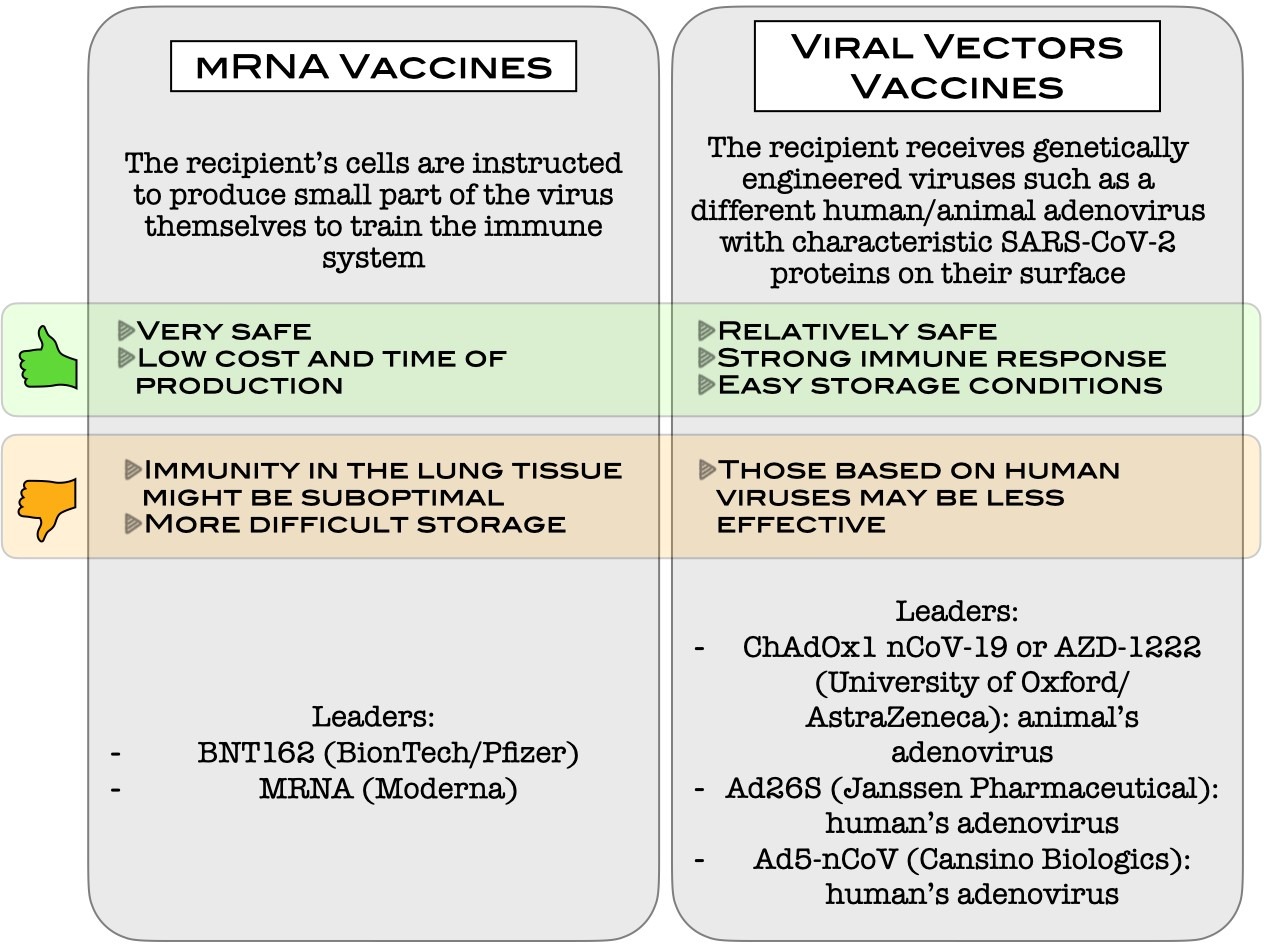 Current state of the pursuit of the vaccine against COVID-19