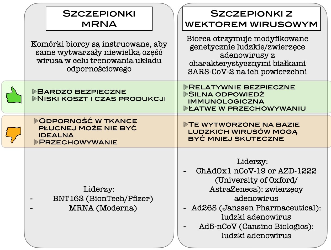 Obecny stan poszukiwań szczepionki przeciwko COVID-19