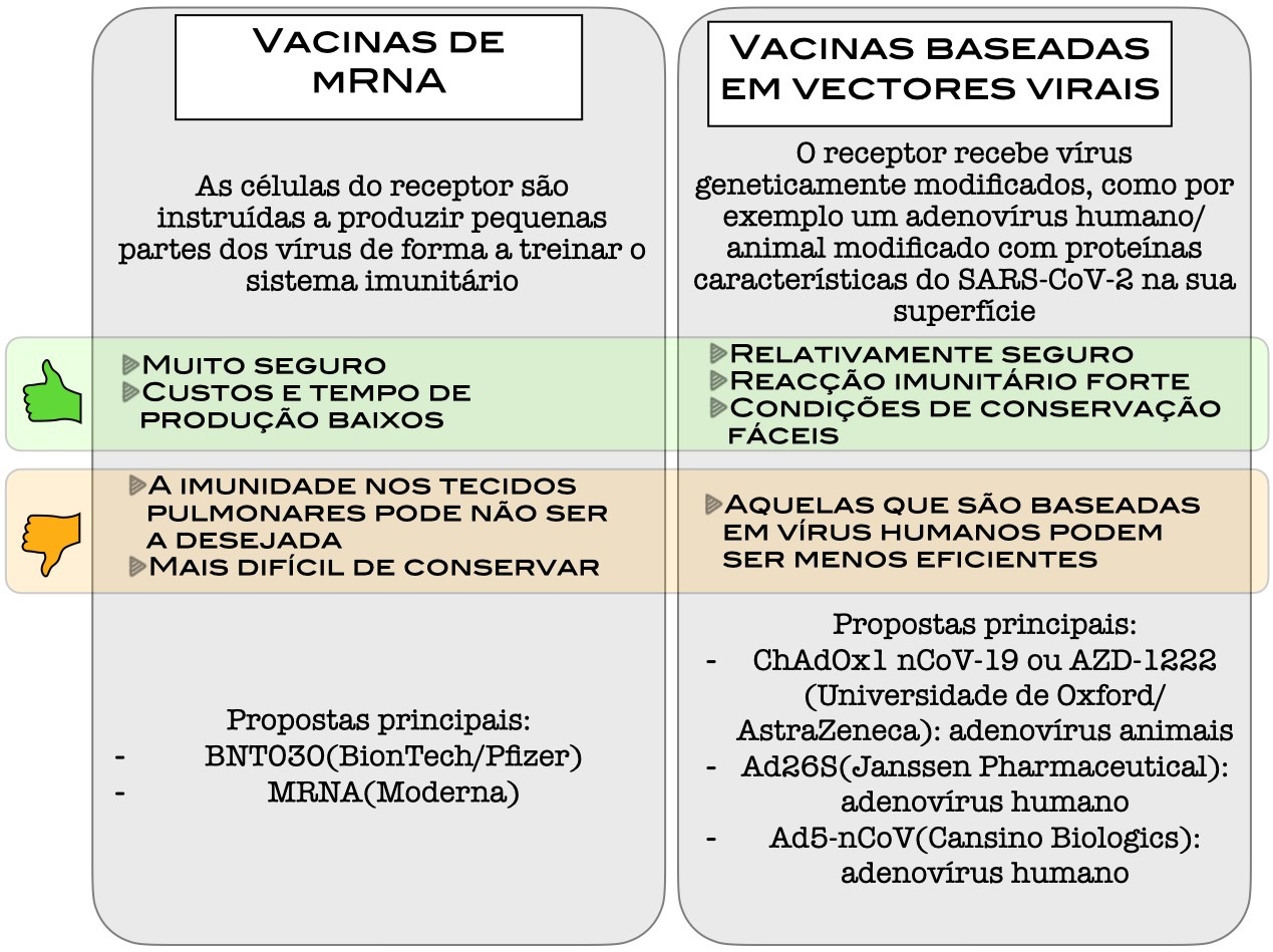 Estado actual da investigação da vacina contra o COVID-19