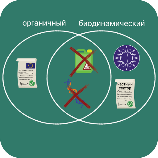 Биодинамические и органические сельскохозяйственные продукты: что мы покупаем?
