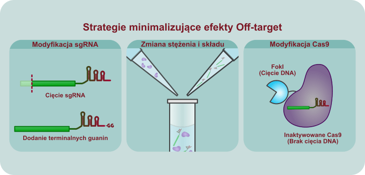 Efekty uboczne metody CRISPR / Cas9 i aktualne sposoby ich zapobiegnia_2