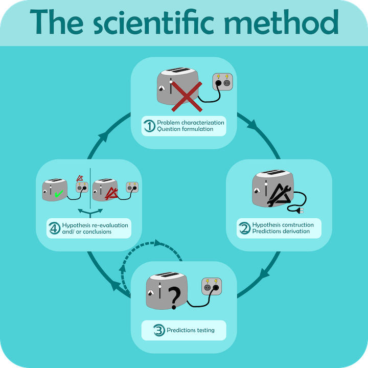 How do scientists learn new things about the world?_2