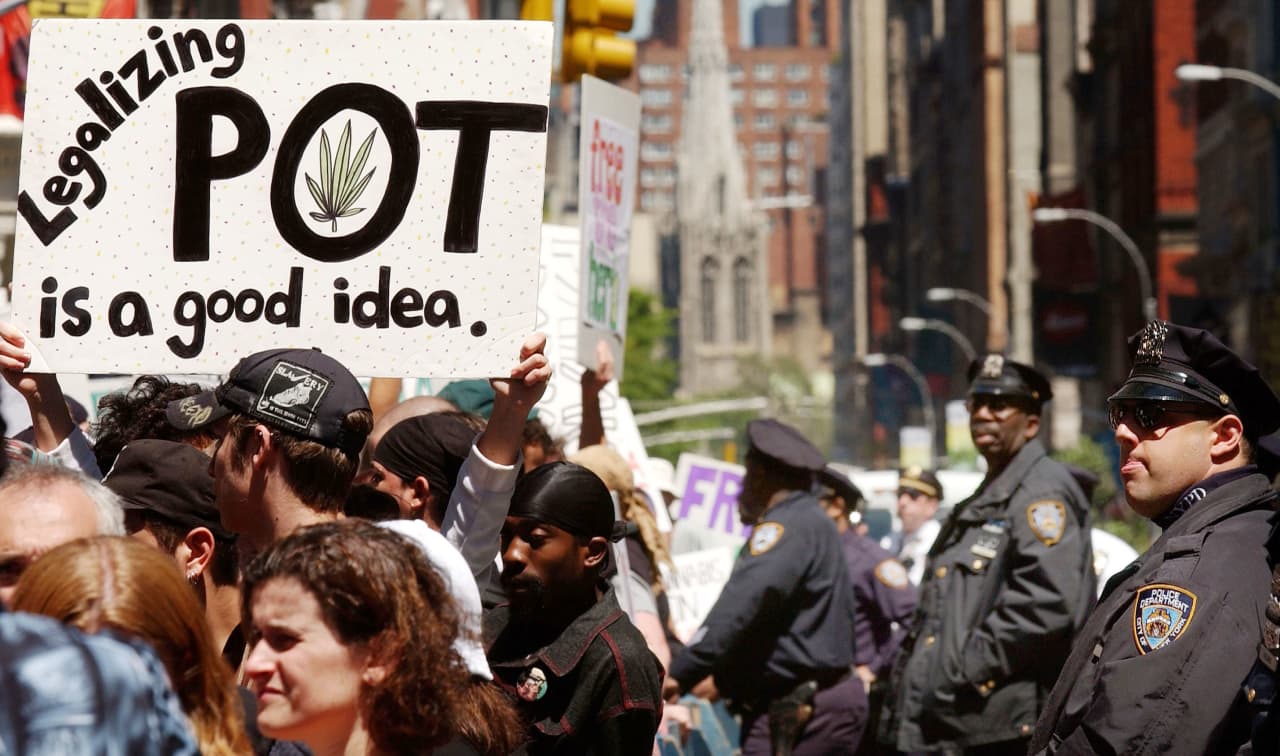 Cannabis stock valuations and investments hobbled by regulatory uncertainties, experts say