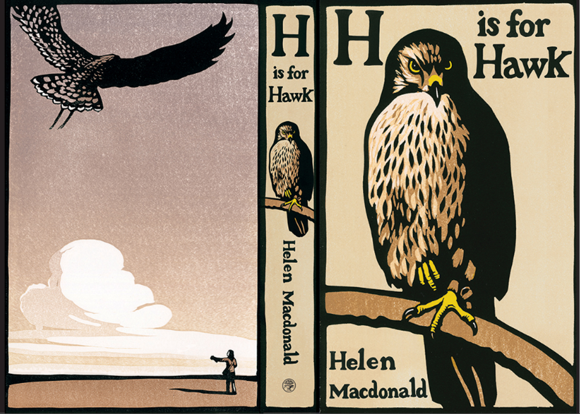 H Is For Hawk Sparknotes _ H Is for Hawk Questions and Answers – SJQDGD