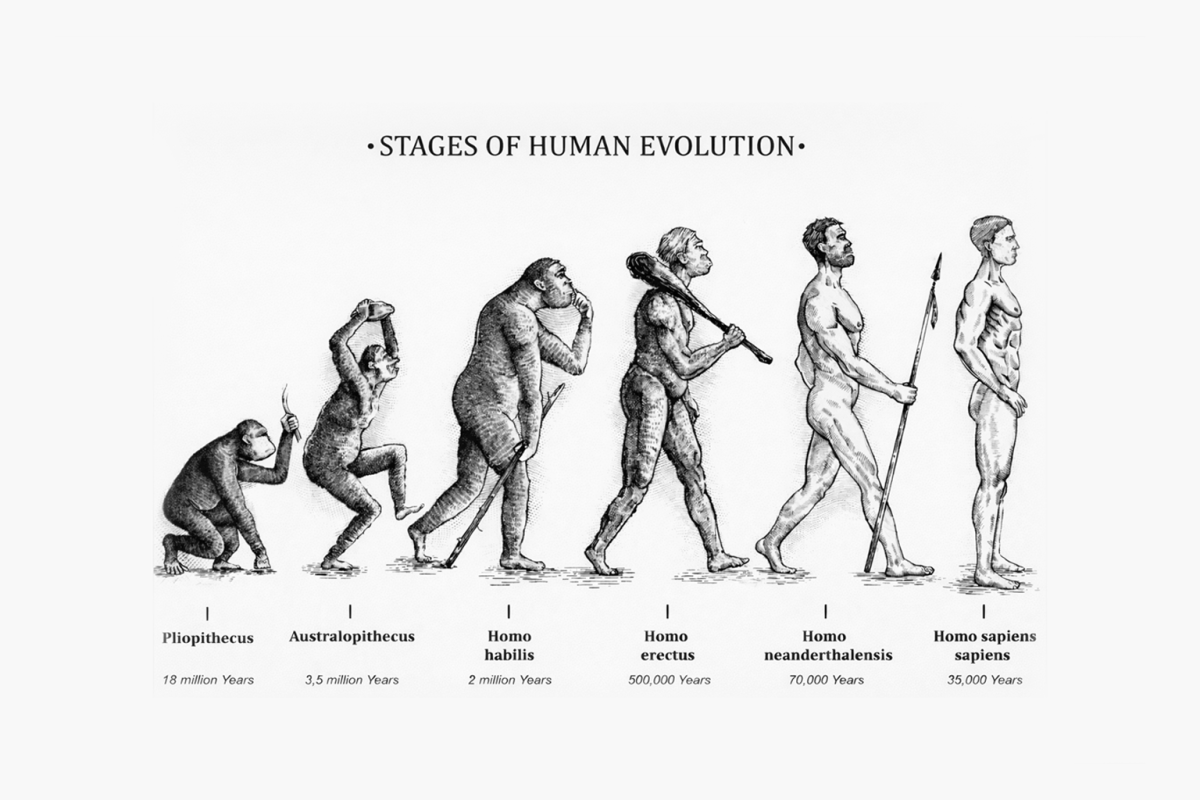 FFAN_Blog_Human_Evolution