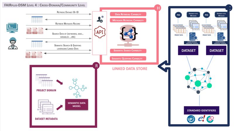 Overview Fairplus Data Maturity - Dark Designs - Creative Retina Collection