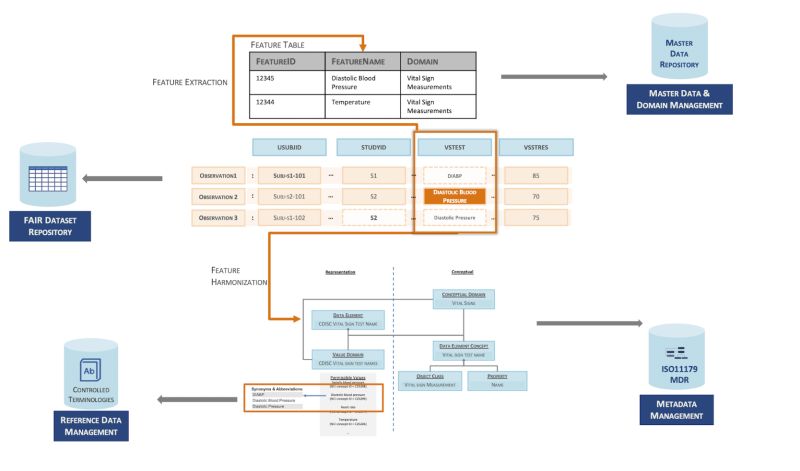Overview Fairplus Data Maturity - Best Minimal Illustrations in 8K