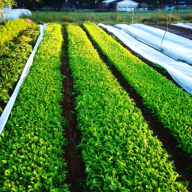 Fair Share Farm LLC photo 15