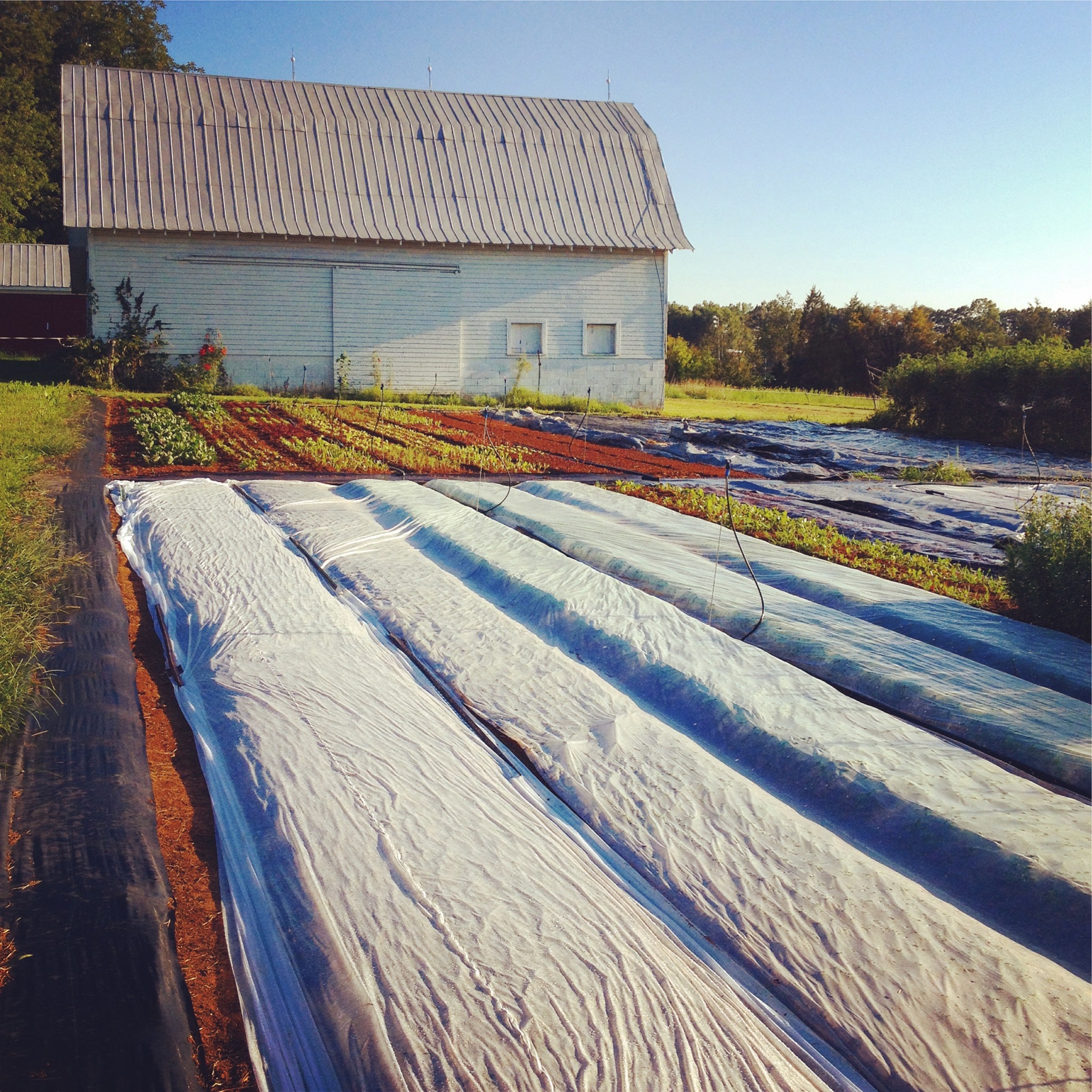 Fair Share Farm LLC photo 14