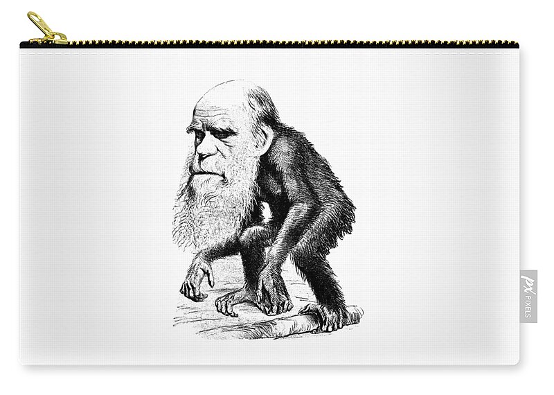 Genesis BONUS Ep.  Evolution, The Ludicrous, Impossible Fairy Tale!