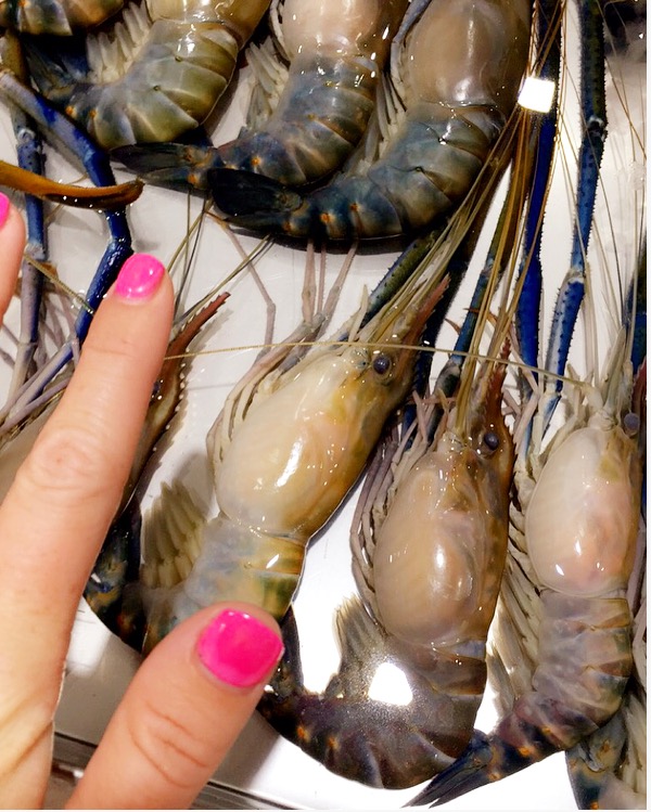 Prawns as big as my hand
