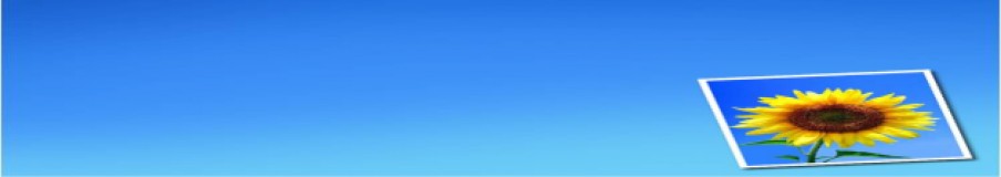Text berjalan dengan background warna : Bagaimana Membuat Text Berjalan Di Wordpress Marquee Text Do Less Talk More