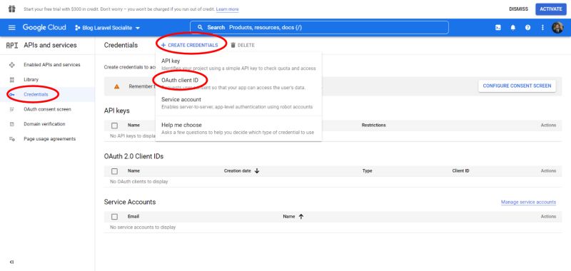Laravel Socialite Google Login Cannot Create Credentials For Localhost - Space Photo Collection - Mobile Quality