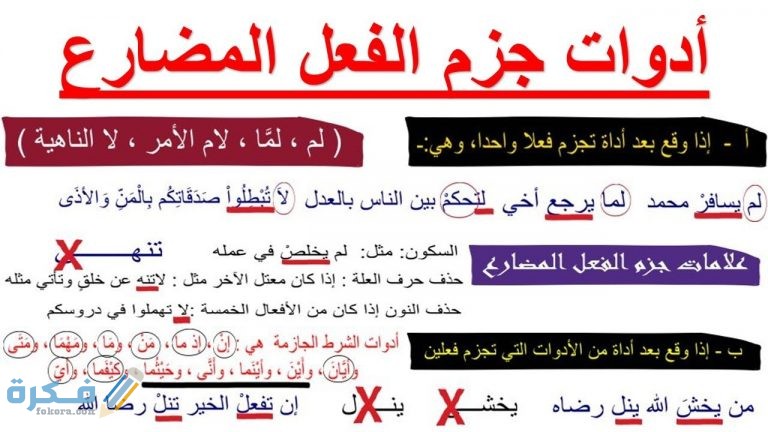 أدوات الجزم