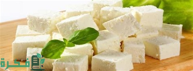 طريقة حفظ الجبنة البيضاء في الفريزر