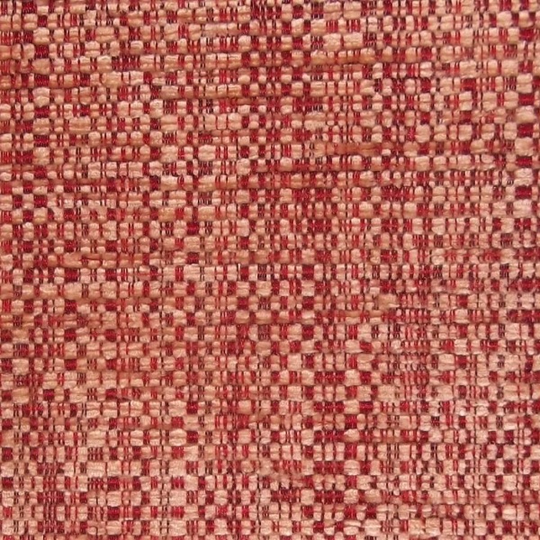 Kilburn Plains Ross Tomato SR12926