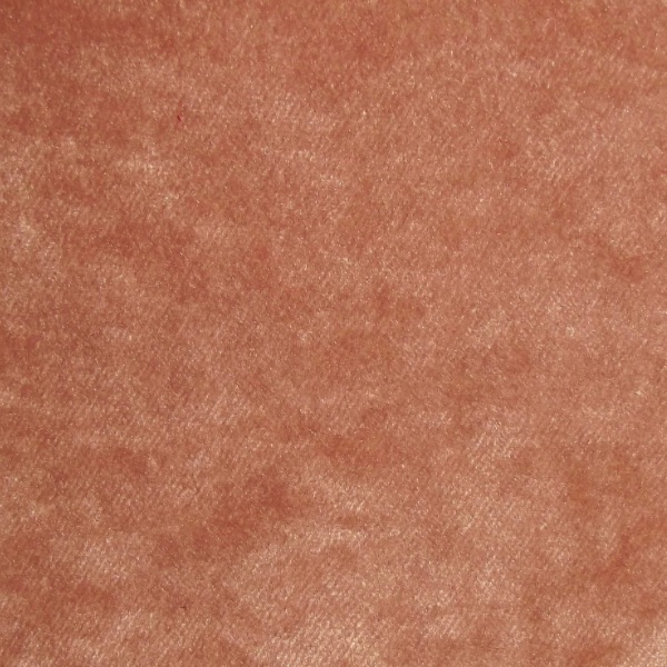 Pastiche Ross Coral SR18066