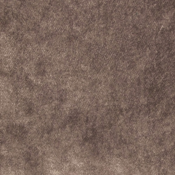 Pastiche Ross Dove SR18072