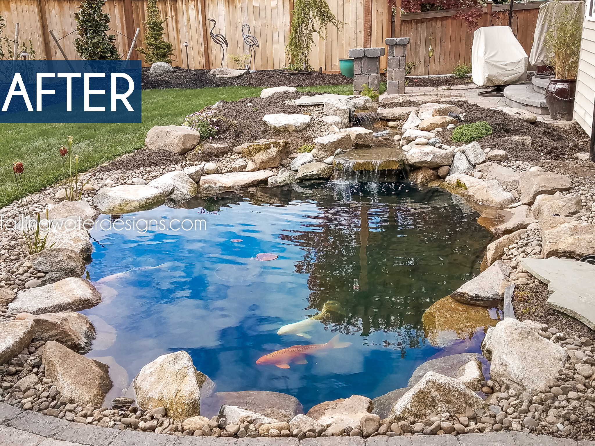 2018 June Newsletter - Page 4 of 6 - Falling Water Designs
