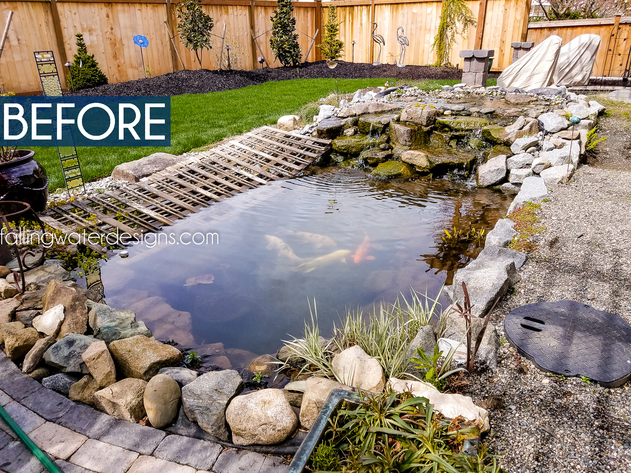 2018 June Newsletter - Page 4 of 6 - Falling Water Designs